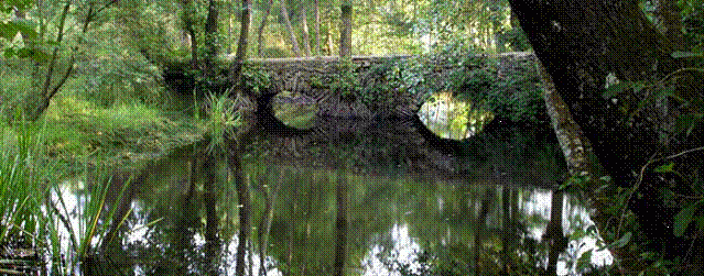 PONTE DE PONTE PUÑIDE